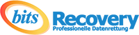 Bits Recovery Logo